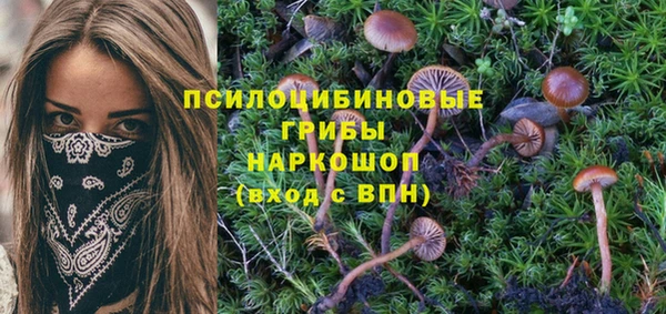 кокаин VHQ Алексеевка